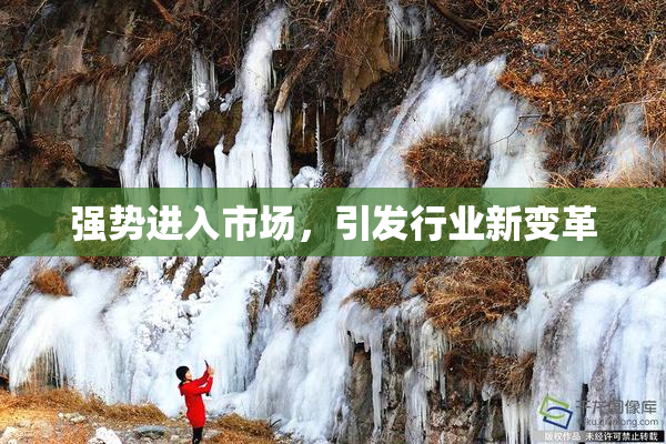 强势进入市场，引发行业新变革