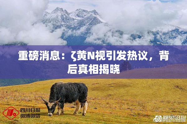 重磅消息：ζ黄Ν视引发热议，背后真相揭晓