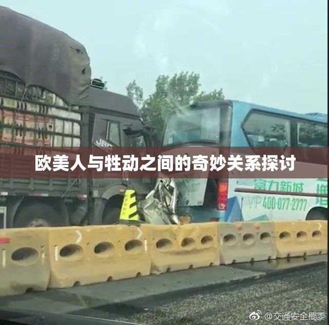 欧美人与牲动之间的奇妙关系探讨