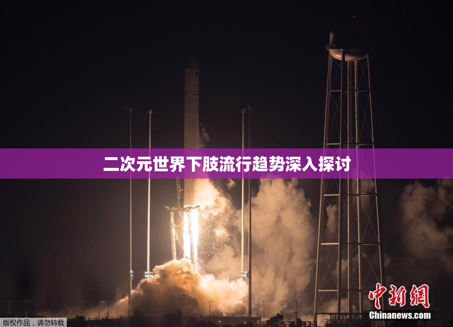 二次元世界下肢流行趋势深入探讨