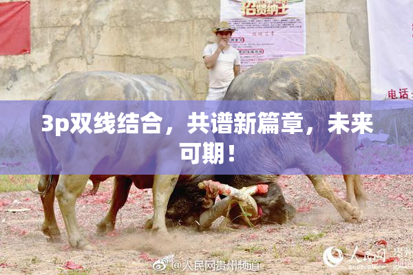 3p双线结合，共谱新篇章，未来可期！