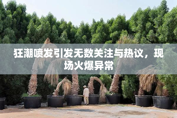 狂潮喷发引发无数关注与热议，现场火爆异常