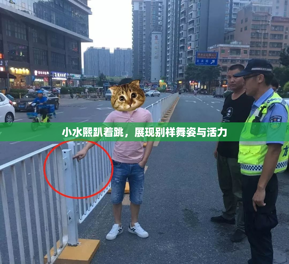 小水熙趴着跳，展现别样舞姿与活力