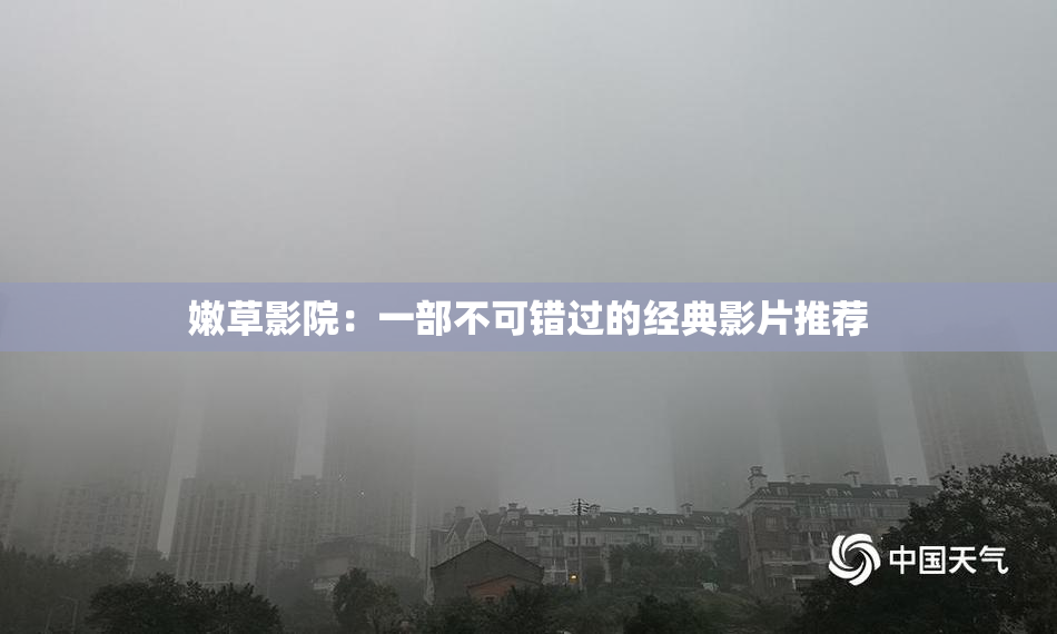 嫩草影院：一部不可错过的经典影片推荐