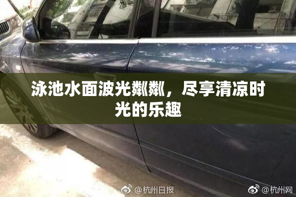 泳池水面波光粼粼，尽享清凉时光的乐趣