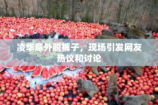 凌华意外脱裤子，现场引发网友热议和讨论