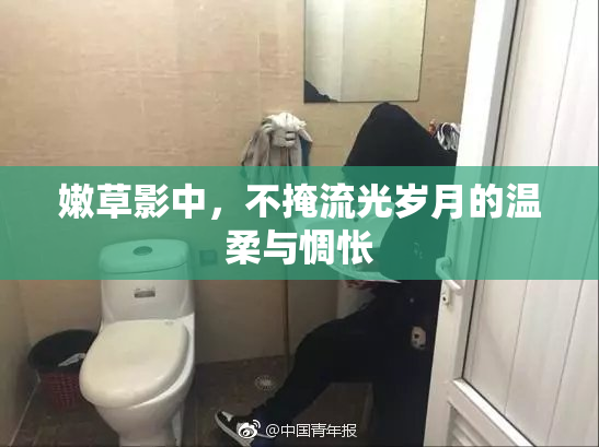 嫩草影中，不掩流光岁月的温柔与惆怅