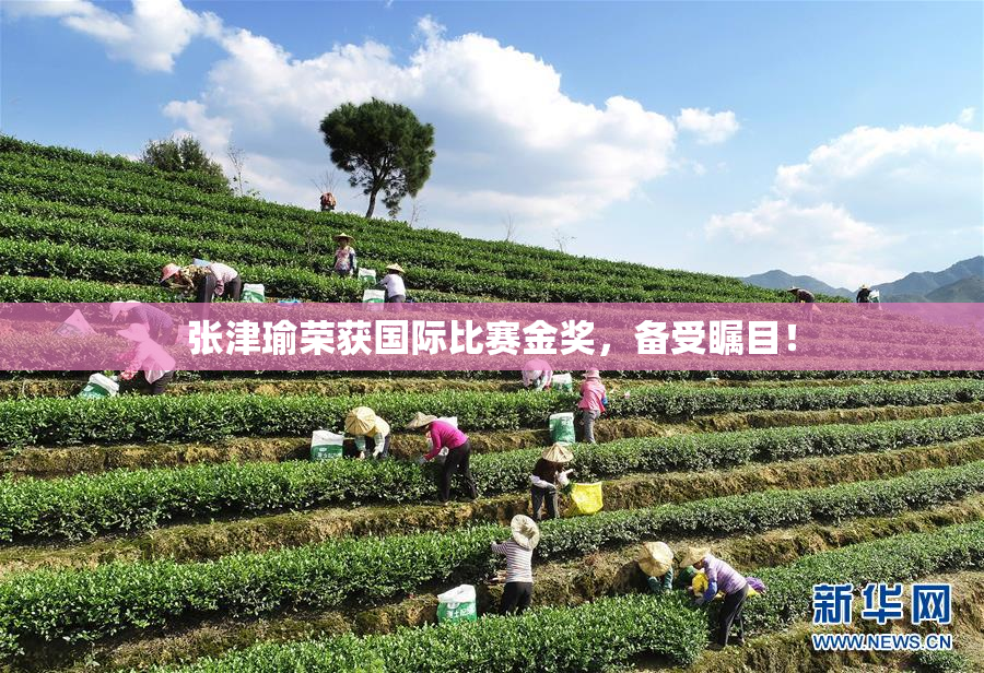 张津瑜荣获国际比赛金奖，备受瞩目！