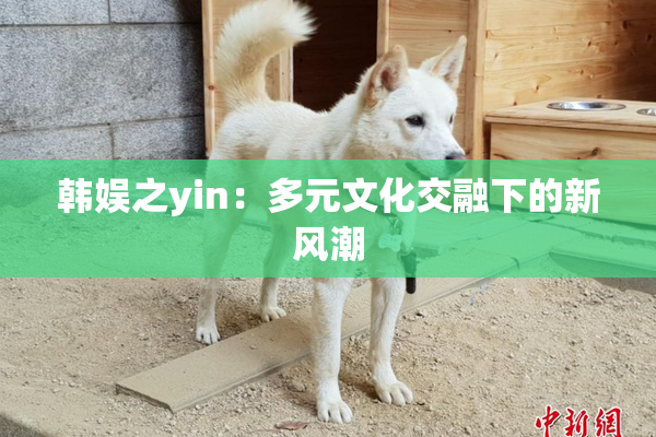 韩娱之yin：多元文化交融下的新风潮