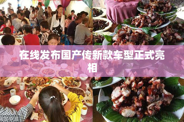 在线发布国产传新款车型正式亮相