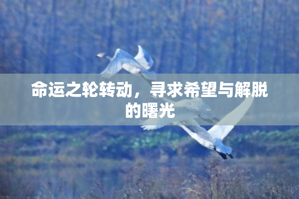 命运之轮转动，寻求希望与解脱的曙光