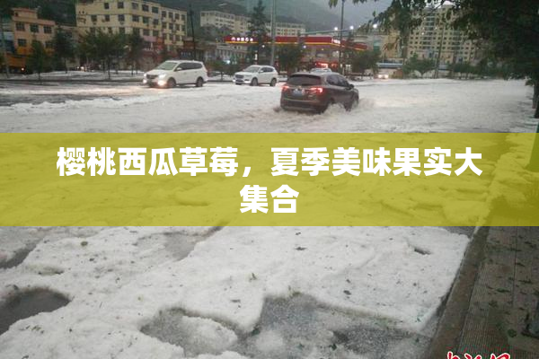 樱桃西瓜草莓，夏季美味果实大集合