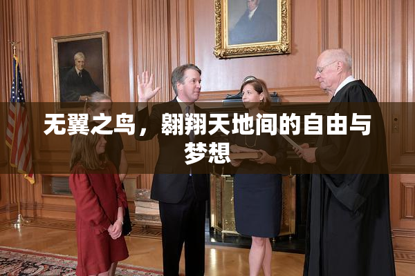 无翼之鸟，翱翔天地间的自由与梦想