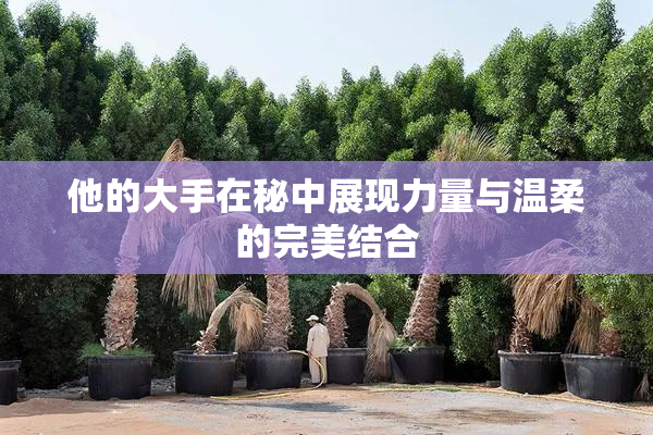 他的大手在秘中展现力量与温柔的完美结合