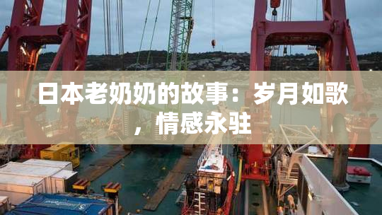 日本老奶奶的故事：岁月如歌，情感永驻