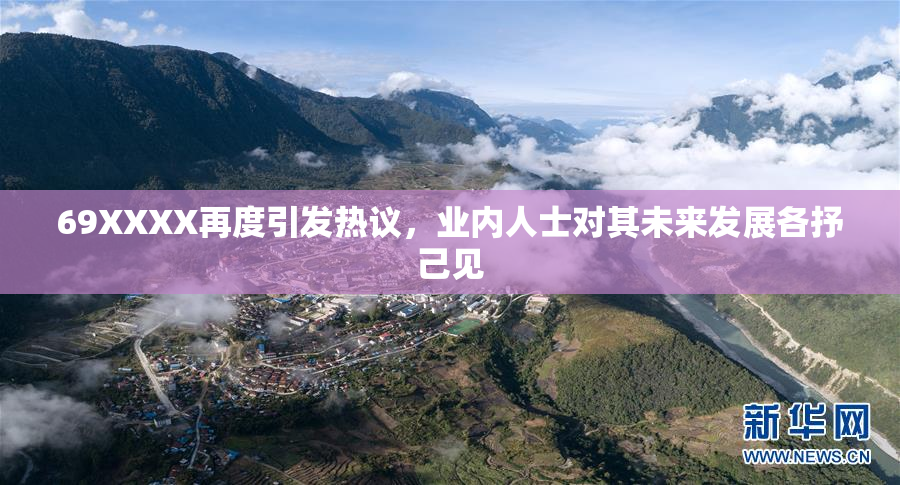 69XXXX再度引发热议，业内人士对其未来发展各抒己见