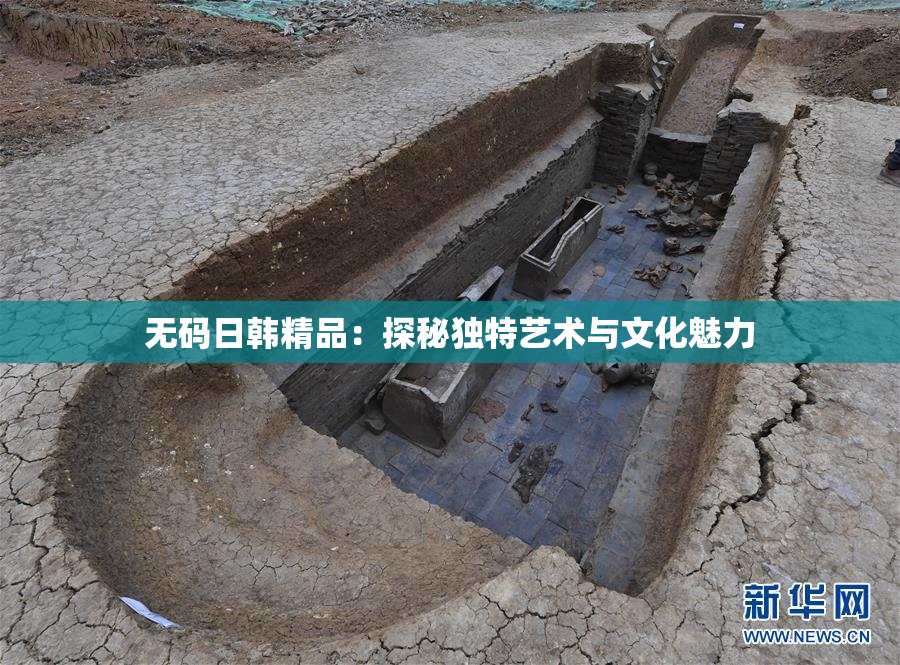无码日韩精品：探秘独特艺术与文化魅力