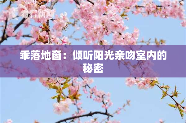 乖落地窗：倾听阳光亲吻室内的秘密