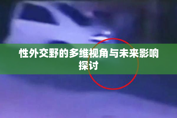 性外交野的多维视角与未来影响探讨