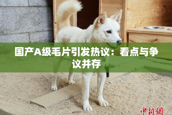 国产A级毛片引发热议：看点与争议并存