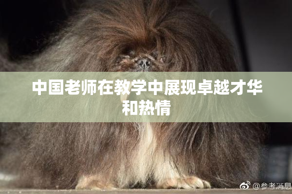 中国老师在教学中展现卓越才华和热情