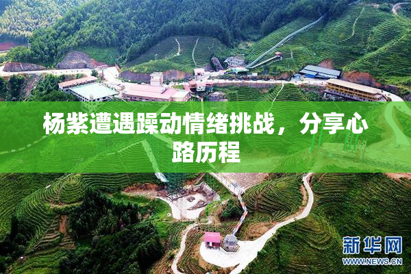杨紫遭遇躁动情绪挑战，分享心路历程