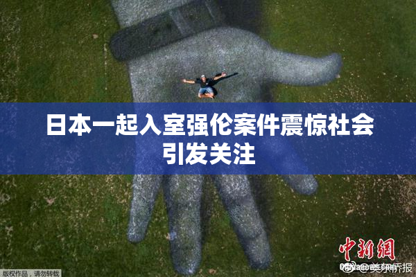 日本一起入室强伦案件震惊社会引发关注