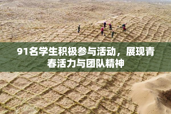 91名学生积极参与活动，展现青春活力与团队精神