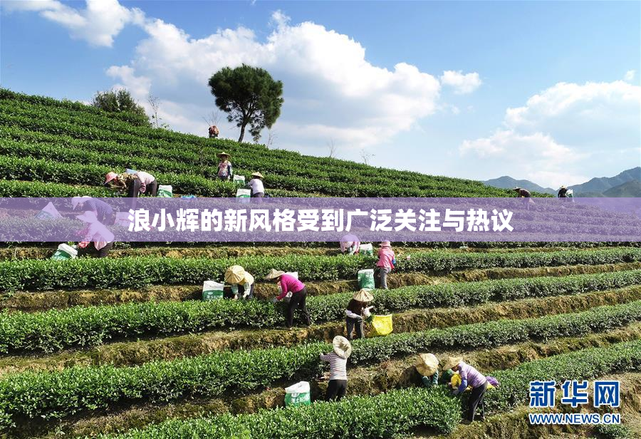 浪小辉的新风格受到广泛关注与热议