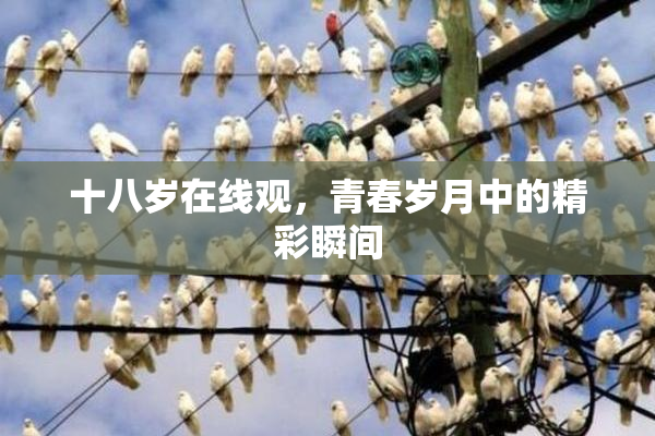 十八岁在线观，青春岁月中的精彩瞬间