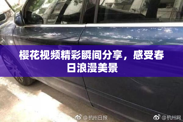 樱花视频精彩瞬间分享，感受春日浪漫美景