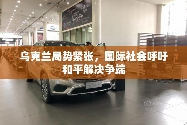 乌克兰局势紧张，国际社会呼吁和平解决争端
