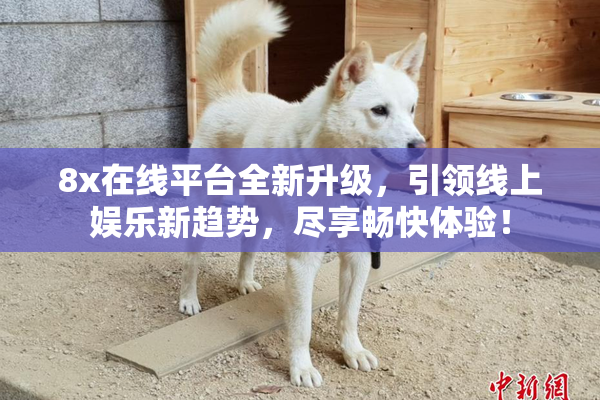 8x在线平台全新升级，引领线上娱乐新趋势，尽享畅快体验！