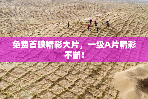 免费首映精彩大片，一级A片精彩不断！