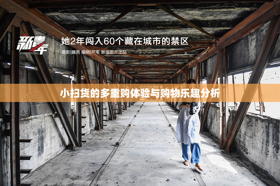 小扫货的多重购体验与购物乐趣分析