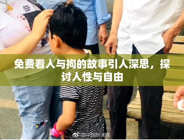 免费看人与拘的故事引人深思，探讨人性与自由