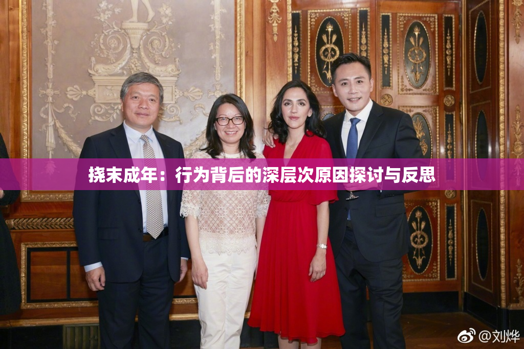 挠末成年：行为背后的深层次原因探讨与反思