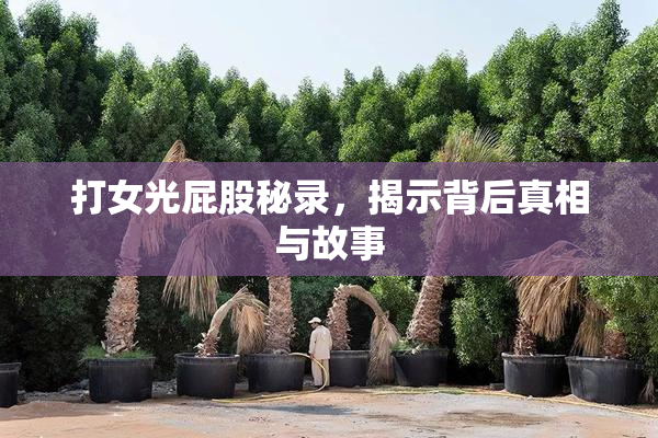 打女光屁股秘录，揭示背后真相与故事