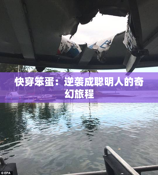 快穿笨蛋：逆袭成聪明人的奇幻旅程