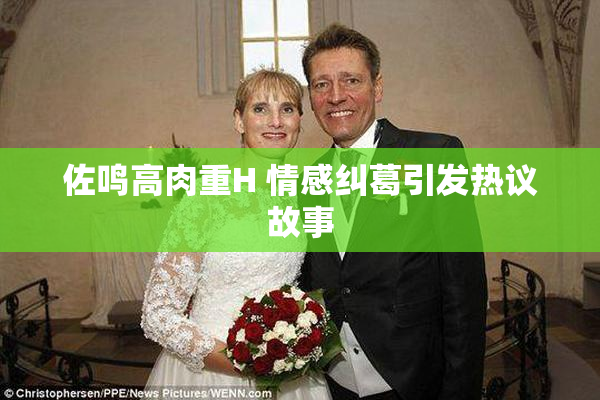 佐鸣高肉重H 情感纠葛引发热议故事