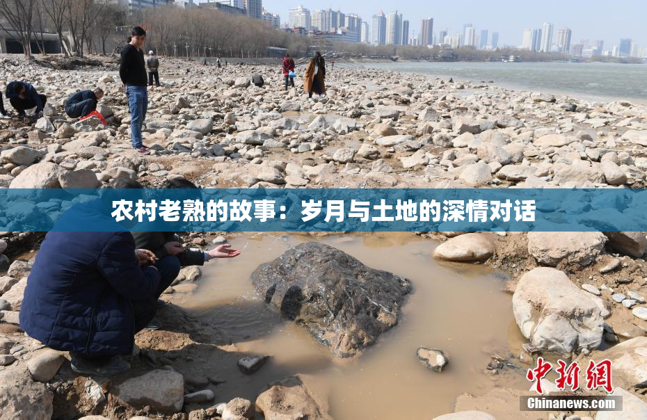 农村老熟的故事：岁月与土地的深情对话