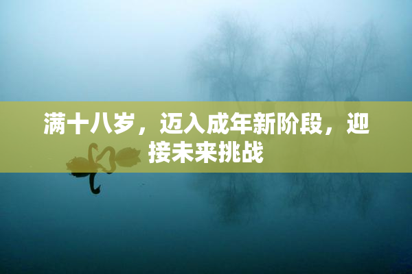 满十八岁，迈入成年新阶段，迎接未来挑战