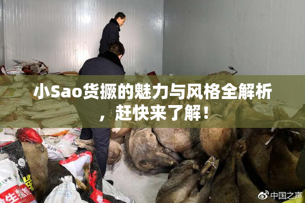 小Sao货撅的魅力与风格全解析，赶快来了解！