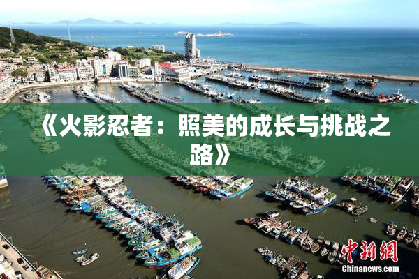 《火影忍者：照美的成长与挑战之路》