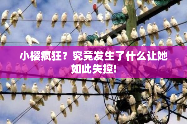 小樱疯狂？究竟发生了什么让她如此失控!