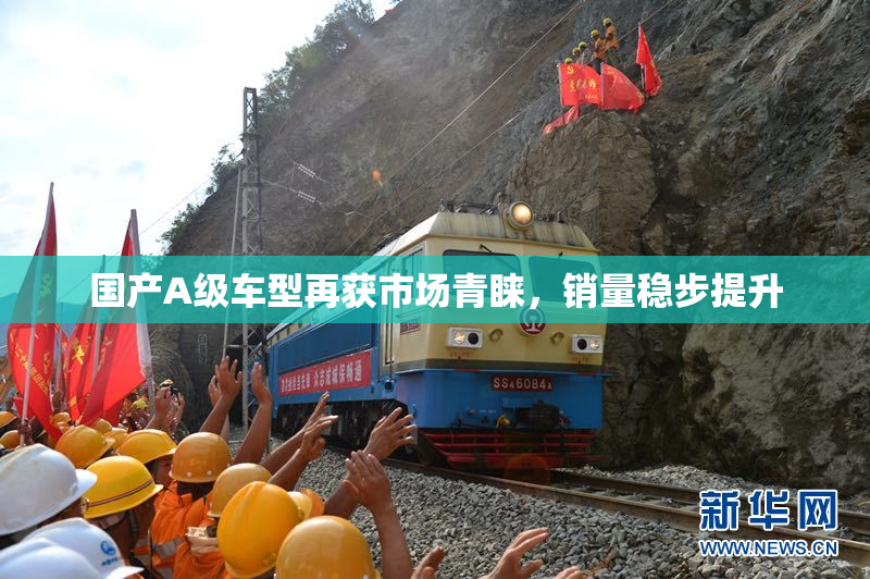 国产A级车型再获市场青睐，销量稳步提升