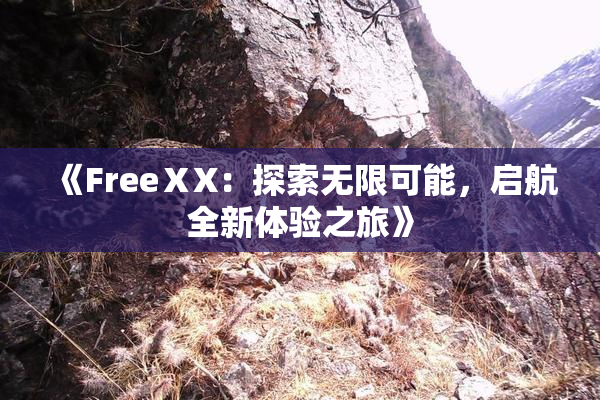 《FreeⅩX：探索无限可能，启航全新体验之旅》