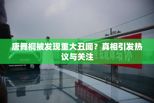 唐舞桐被发现重大丑闻？真相引发热议与关注