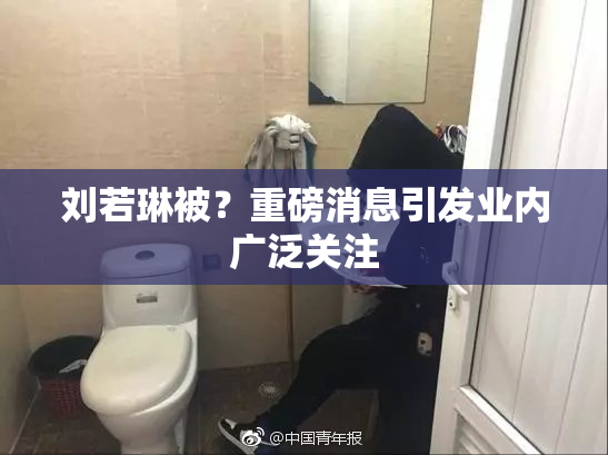 刘若琳被？重磅消息引发业内广泛关注