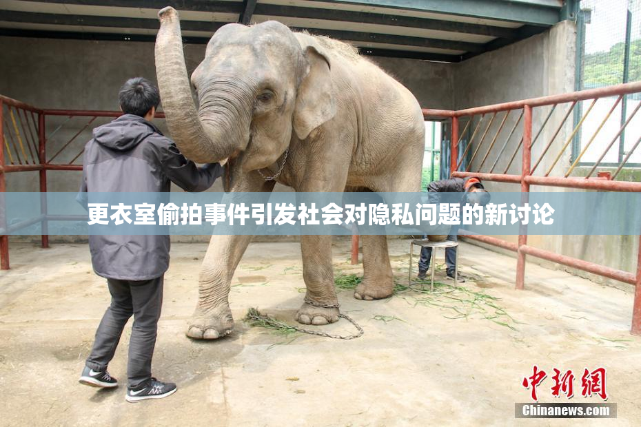 更衣室偷拍事件引发社会对隐私问题的新讨论